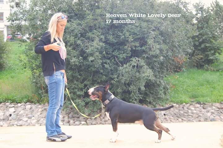 CH. Heaven White Lovely dear