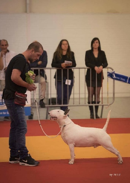 Heaven White Line dreams