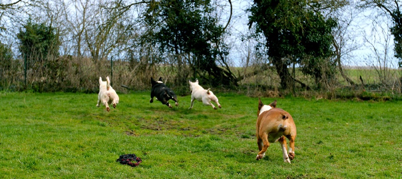 Moments avec nos petits HW , nos potes , nos bulots
